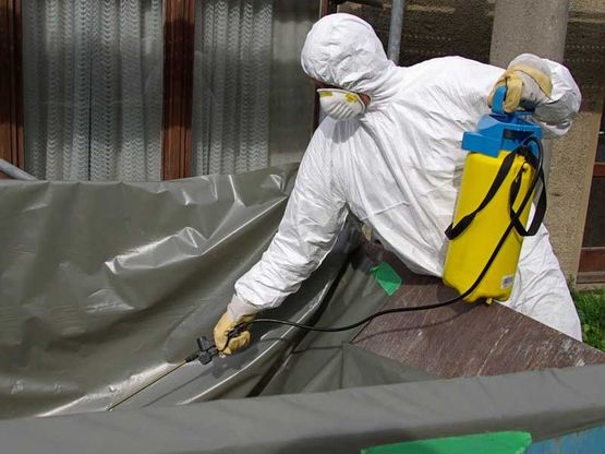 Asbestos removal