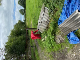 asbestos removal